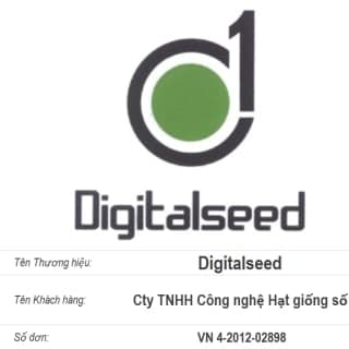 0 1 Digitalseed — bản xem trước tài liệu