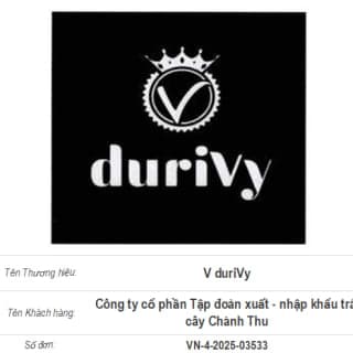 V duriVy — bản xem trước tài liệu