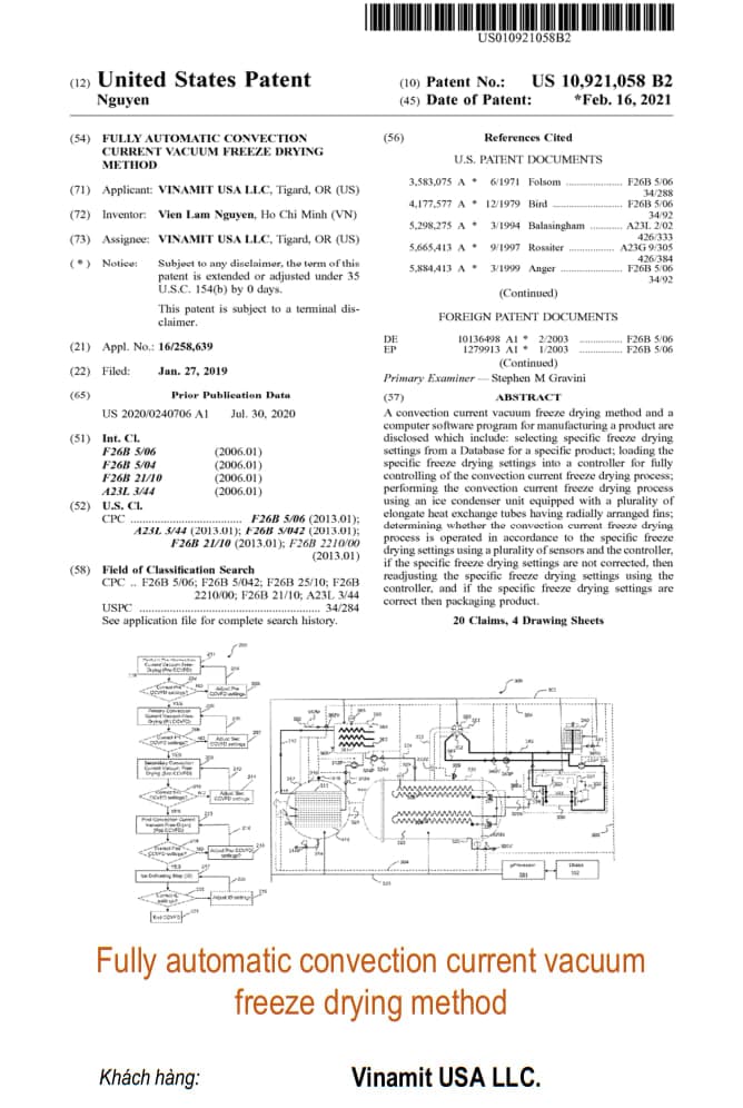 Fully automatic convection current vacuum freeze drying method