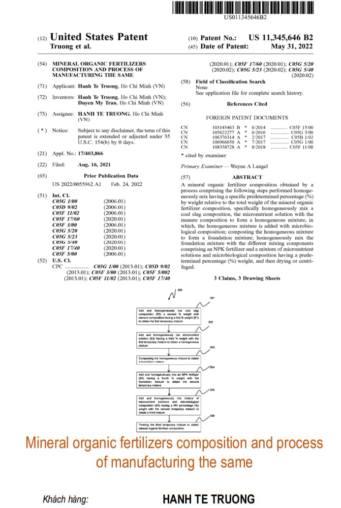 Mineral organic fertilizers composition and process of manufacturing the same