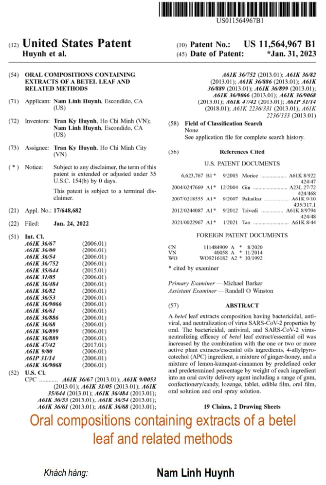 Oral compositions containing extracts of a betel leaf and related methods