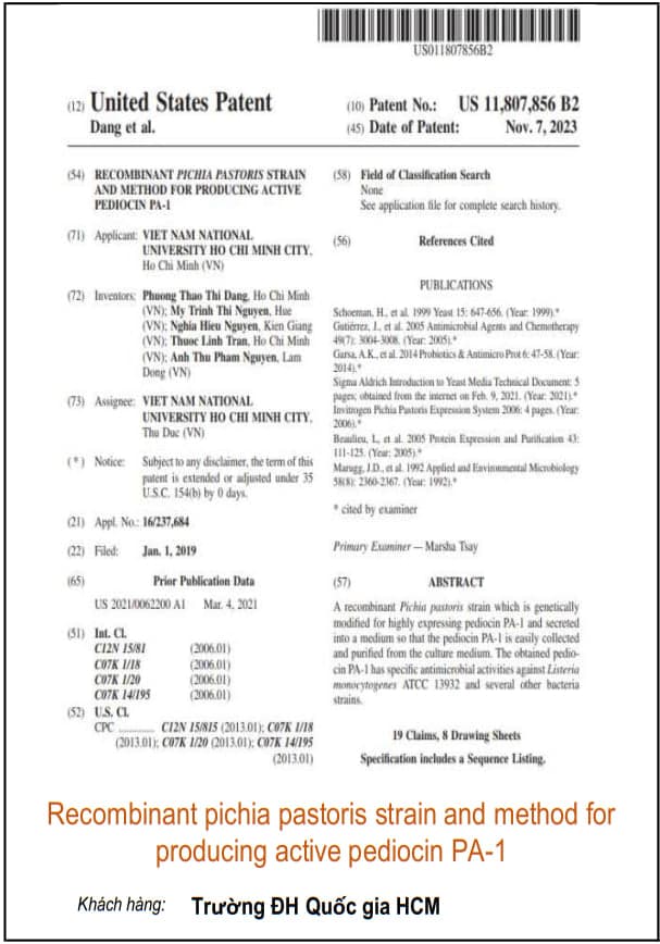 Recombinant pichia pastoris strain and method for producing active pediocin PA-1