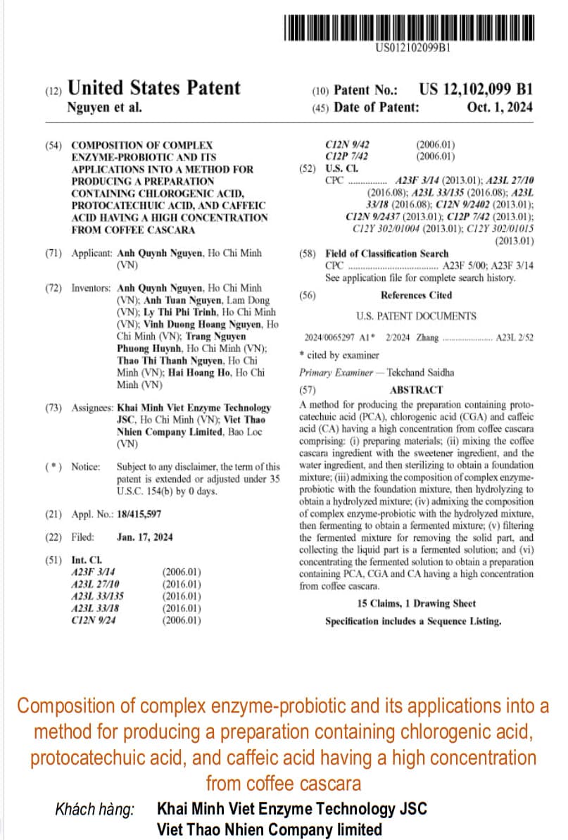 Composition of complex enzyme-probiotic and its applications into a method for producing a preparation containing chlorogenic acid, protocatechuic acid, and caffeic acid having a high concentration from coffee cascara