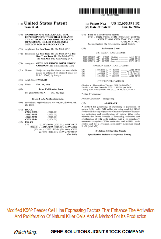 Modified K562 Feeder Cell Line Expressing Factors That Enhance The Activation And Proliferation Of Natural Killer Cells And A Method For Its Production
