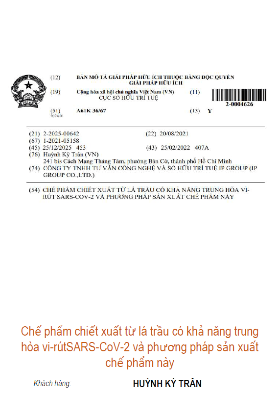 Chế phẩm chiết xuất từ lá trầu có khả năng trung hòa vi-rútSARS-CoV-2 và phương pháp sản xuất chế phẩm này