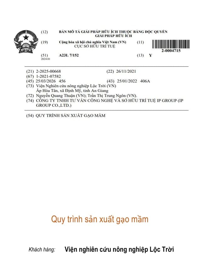 Quy trình sản xuất gạo mầm